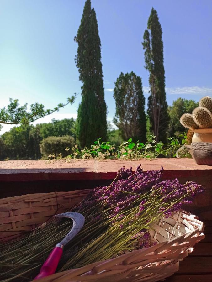 Agriturismo Podere Le Palaie Monterotondo  Exterior photo