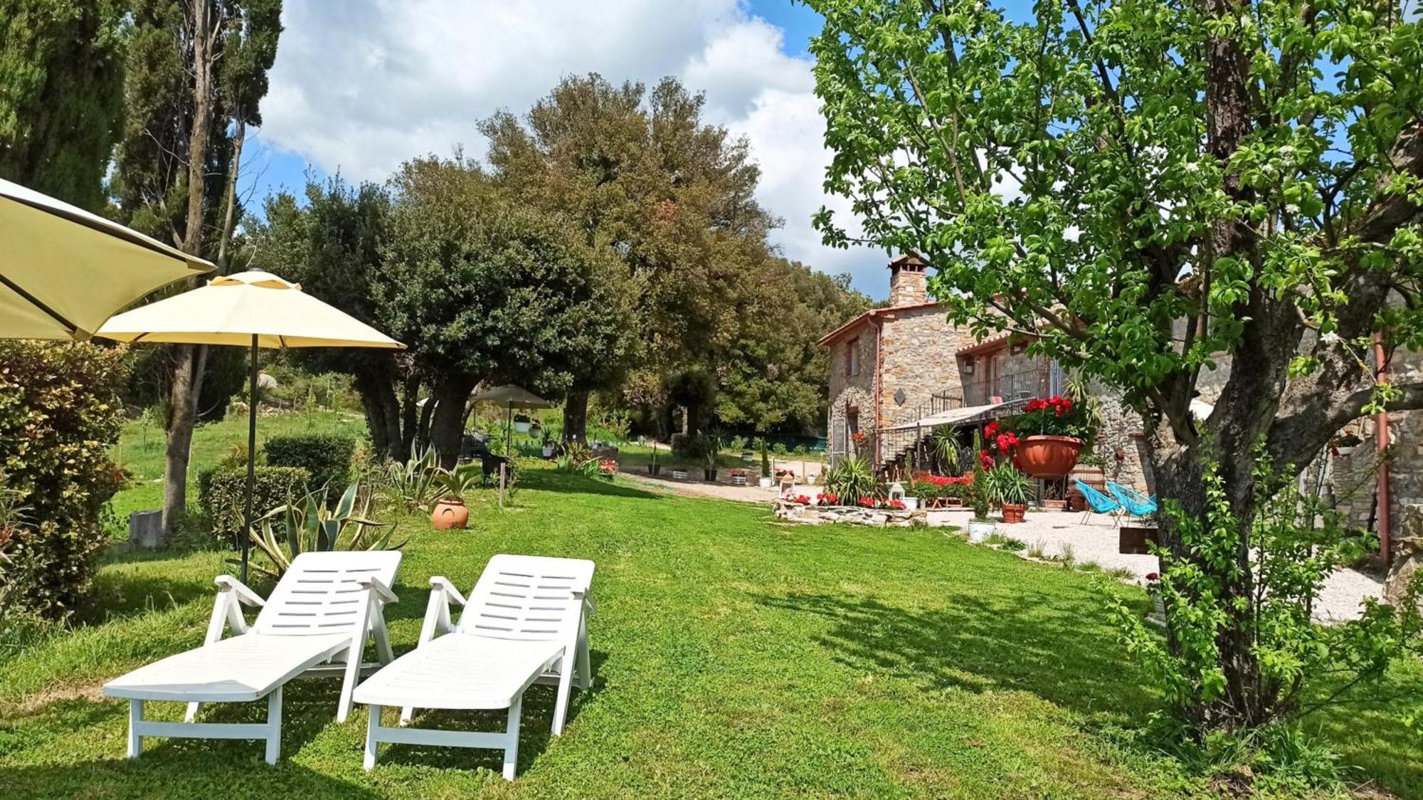 Agriturismo Podere Le Palaie Monterotondo  Room photo